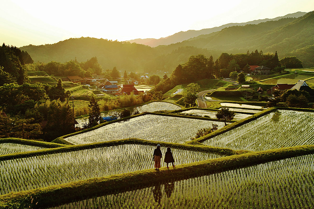 奥出雲町・追谷集落の棚田風景
