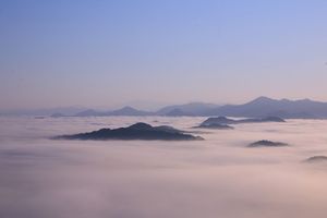 丸山城跡雲海