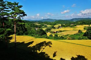 風景