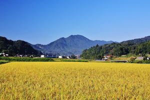 風景