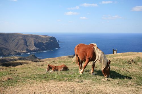 西ノ島町 西ノ島町ペア宿泊補助券 10 000円分 10名様にプレゼント 島根県町村会 しまね11町村応援事業 さんさんクラブ